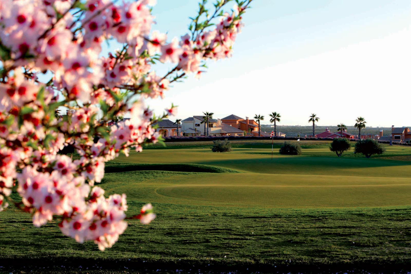 Mejora tu juego de golf en Murcia con UGOLF